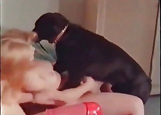Black doggy is frolicking with ﻿2 pervs