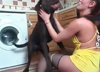 Fucky-fucky in the kitchen with an fashionable dog