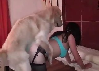 Slutty forced to fuck her own dog