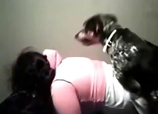 Dog wants to snuffle it before sex