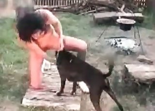 Tiny black doggo is having an incredible animal sex session