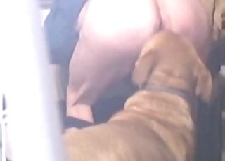 Doggy sniffing and fucking his round ass