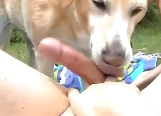 Cute dog licks my loaded rock-hard boner