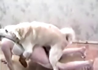 Blonde doll sucked her own taught doggy