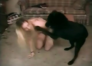 Dog cock is getting sucked by a lustful pervert