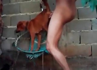 Smallish doggy in the super-fucking-hot animality