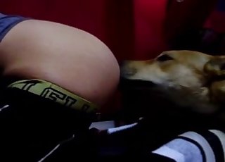 Man with a big butt is sexually teased by a uber-cute dog