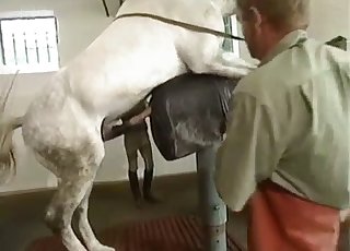 Dick measuring contest with a horse