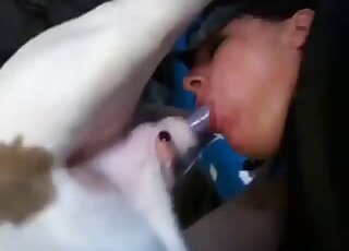 Amateur animal porn