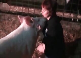 Teen bestiality sex