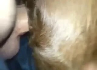 Zoo Porn Clips and Animal Sex