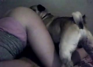 Teen gets her pussy licked by a cute mutt