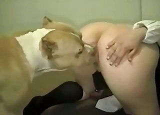 Office slut plays with her dog