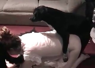 Doggy's wiener is being sucked on the camera