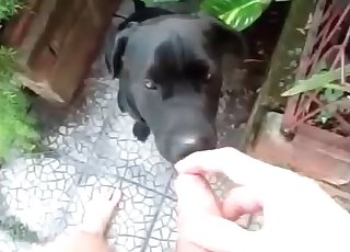 Just spunking on my doggy