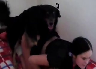 Dark-haired chick drilled by a dog