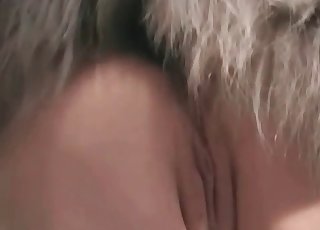 Fat breezy and her gifted husky