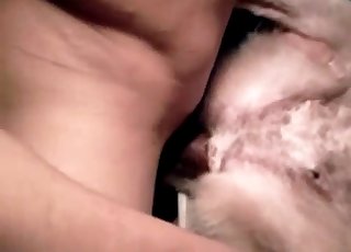 Possessor slowly drills his lovely doggy