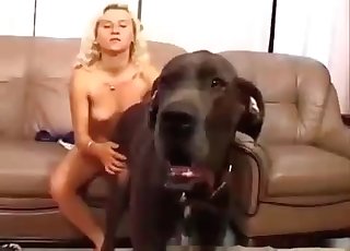 Large hound is really blessed to see his lovely owner
