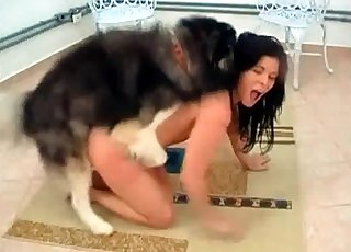 Doggy and a horny Asian zoophile slut