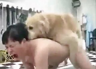 Fast, aggressive pummeling from a dog