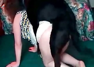 Red-haired fucked by a trained doggy