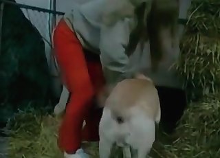 This whore wears crimson trousers and gets banged in doggy fashion