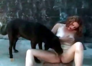 Black dog nailing her on cam