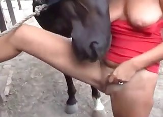 Black dog seduced and plumbed by a hot dame