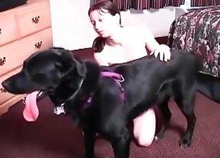 Dark-hued dog enjoys a dirty penetration