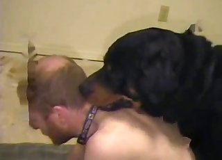 Big black dog plumbs a perverted guy
