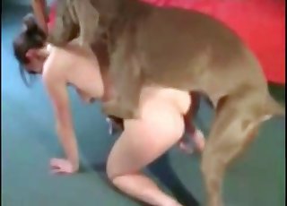 Wet cunt gets absolutely ravaged by a great mutt
