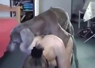 Wet cunt gets absolutely ravaged by a great mutt