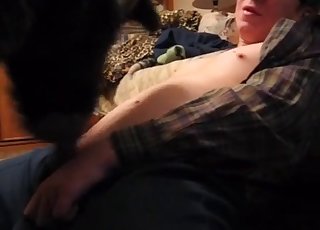 Attentive blowjob for a handsome dog