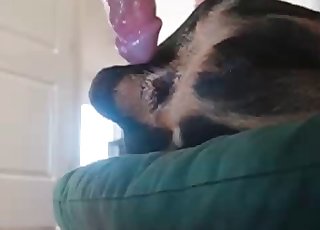 Rear end humped by host