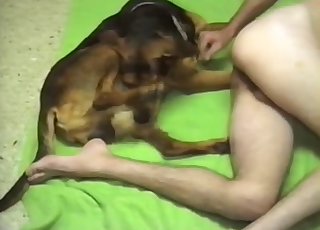 Doggy and zoofil lover in amazing animal sex pornography