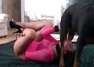 Dog receiving some amazing and spontaneous blowjob