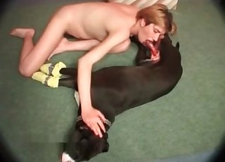 Black dog with phat rod gargled by female