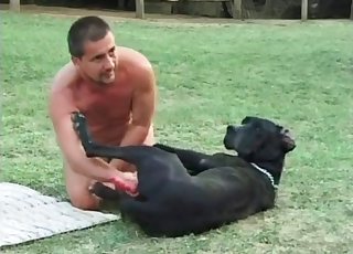 Mutt is getting fucked by a masculine