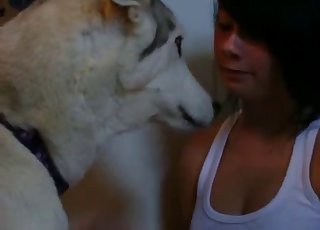 Sexy Husky and amazing amateur zoofil