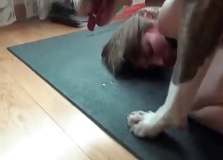 She gets gaped by a very petite dog