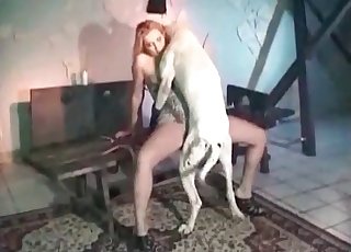 Bleached doggy and bleached bitch loves bestiality