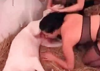 Mutt orgy action with a sweet cutie