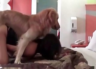 Thick doggie enjoying her holder