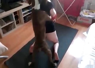 Dog fucks this zoophile in a fast way