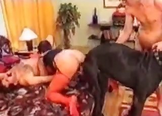 Doggy-style fuck-fest with a nasty mutt
