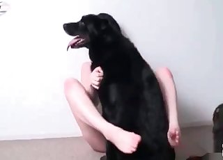 Dog gives this masked slut a popshot