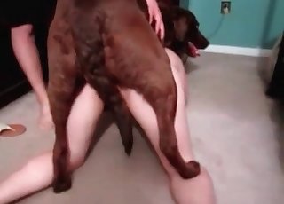 Brown dog is having some amazing bestiality enjoyment