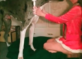 Pro bestiality sex with a trained doggy