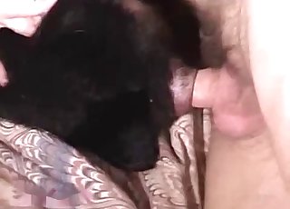 Sideways sex with a black doggo